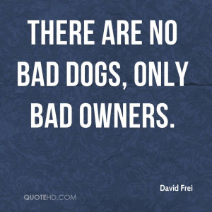 There are no bad dogs, only bad owners.