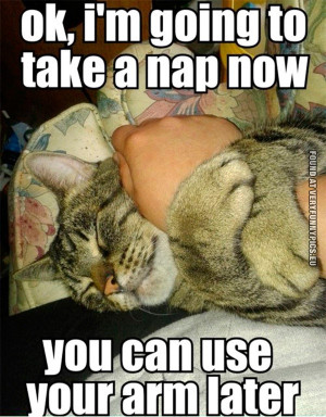 Funny Picture - Ok, i'm going to take a nap now - You can use your arm ...