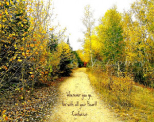 Wherever you go-nature photography & inspirational confucius quote ...