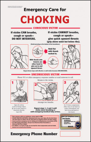 heimlich maneuver poster