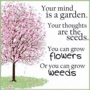 Your Mind Is a Garden.Your Thoughts Are The Seeds.You Can Grow Flowers ...