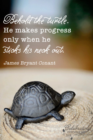 ... Turtle quote, be brave quote, inspirational quote, motivational quote