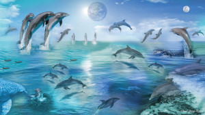 Cute-Dolphins-Image (13)