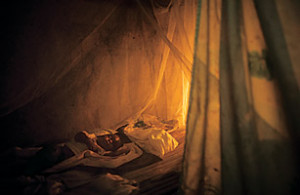 The Battle for Global Health