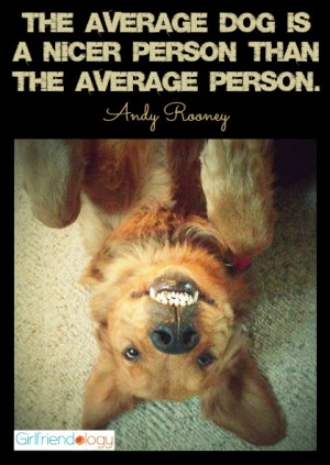 The average dog is a nicer person than the average person. — Andy ...