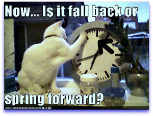 Spring Forward Fall Back