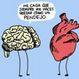 Chistes e imágenes graciosas y otras cosas parte 2