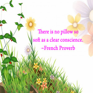 There is no pillow so soft as a clear conscience. - French Proverb ...