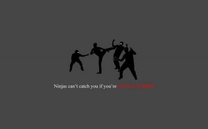 funny ninja facts