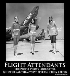 The life and times of a flight attendant