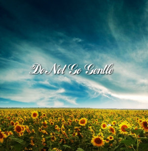 quote from Matched by Ally Condie