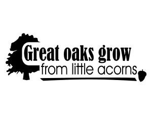 Great-Oaks-Grow-Little-acorns-Decor-vinyl-wall-decal-quote-sticker ...