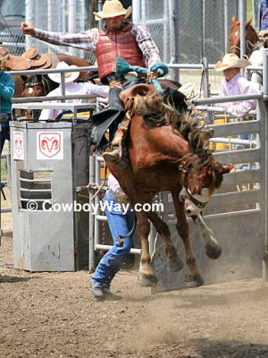 high-jumping bronc with a saddle bronc rider on board