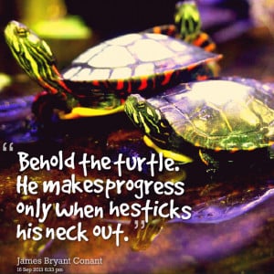 Quotes Picture: behold the turtle he makes progress only when he ...