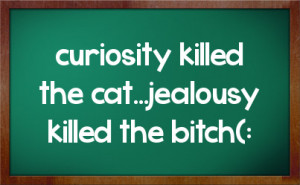 curiosity killed the cat...jealousy killed the bitch(: