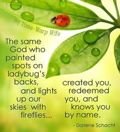 The same God who painted spots on ladybug's backs, and lights up our ...