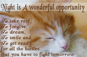 Good Night Cat Wallpaper With Quote Image
