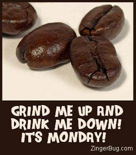 Funny Comment featuring a photo of coffee beans with the comment ...