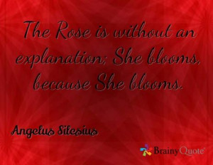 ... an explanation; She blooms, because She blooms. / Angelus Silesius