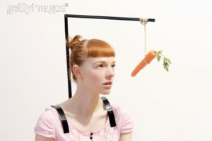 dangling-carrot-picture2.jpg