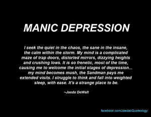 MANIC DEPRESSION I seek the quiet in the chaos, the sane in the insane ...