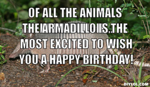 Funny Happy Birthday Animal Memes Of all the animals in the