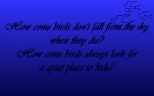 Birds - Elton John Song Lyric Quote in Text Image