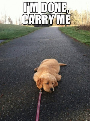 done, carry me