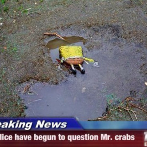 Crime... Mr. Crabs was a head case ...