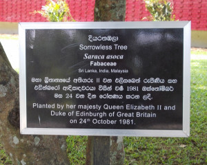 Have I seen The Earl? - you say