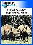 Animal Face-Off: Elephant vs. Rhino