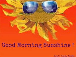 Good morning Sunshine quote via Carol's Country Sunshine on Facebook