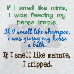 ... smell like shampoo, I was giving my horse a bath. If I smell like