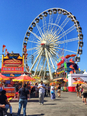 ... need a place to go with your family? The OC fair is the place to go