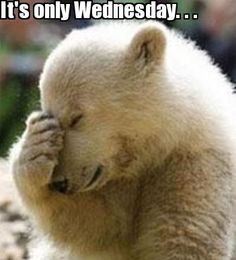 Its only Wednesday quotes quote days of the week wednesday hump day ...