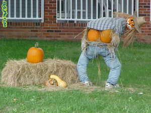 Funny scarecrow (18 pics)
