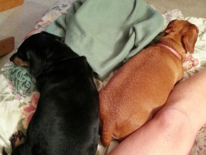 Here's praying that we have a good and quiet night. To quote Scarlett ...