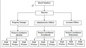 Non Profit Organization Organizational Chart