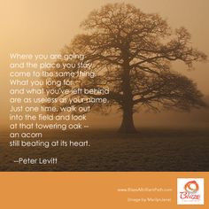 ... Oak, a short poem about the power of the acorn by Peter Levitt. #quote