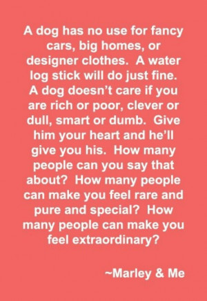 Marley and Me Quote