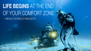 Life begins at the end of your comfort zone. – Neale Donald Walsch ...