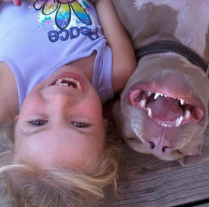 Pit Bulls require something a little chewier, and juicy....