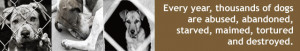 dog rescue quotes and poems not just a dog poem