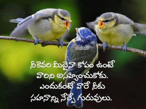 Facebook Quotes in Telugu | Wall Photos