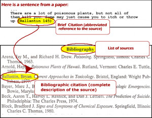 Example of anin-text citation and the full citation in the ...