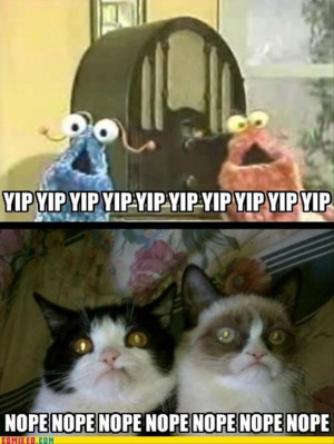 grumpy cat, funny pictures (2)