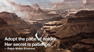 Grand Canyon Quotes