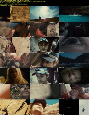 127 Hours 2010 BDRip XviD AC3 Z0N3