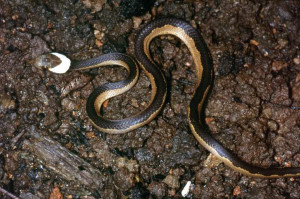 Funny Best Friend Quotes Xanga Funny Best Friend Quotes Xanga