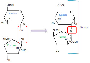 glucose molecule molecular structure